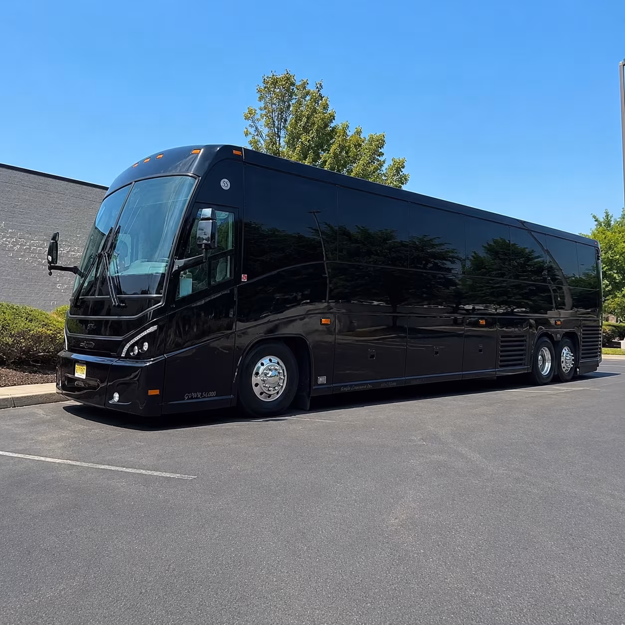 multi day and overnight charter bus trips from brownsville